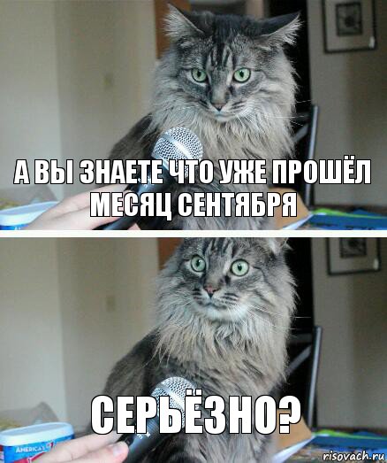 А ВЫ ЗНАЕТЕ ЧТО УЖЕ ПРОШЁЛ МЕСЯЦ СЕНТЯБРЯ СЕРЬЁЗНО?, Комикс  кот с микрофоном