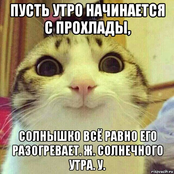 пусть утро начинается с прохлады, солнышко всё равно его разогревает. ж. солнечного утра. у., Мем       Котяка-улыбака