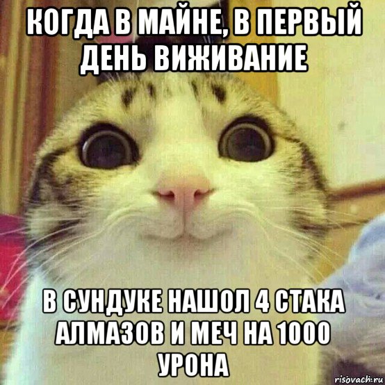 когда в майне, в первый день виживание в сундуке нашол 4 стака алмазов и меч на 1000 урона, Мем       Котяка-улыбака