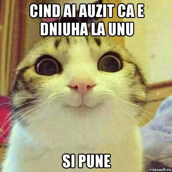 cind ai auzit ca e dniuha la unu si pune, Мем       Котяка-улыбака