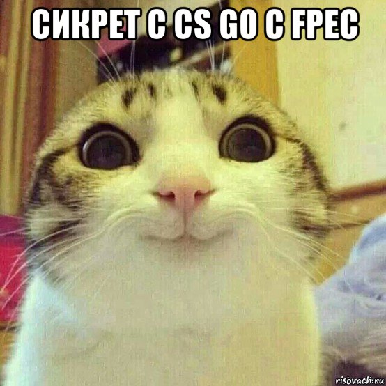 сикрет с cs go с fpec , Мем       Котяка-улыбака