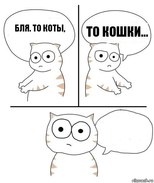 бля. то коты, то кошки... , Комикс Не надо так кот