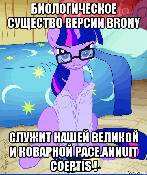 биологическое существо версии brony служит нашей великой и коварной расе.annuit coeptis !, Мем  май литл пони