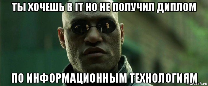 ты хочешь в it но не получил диплом по информационным технологиям, Мем  морфеус