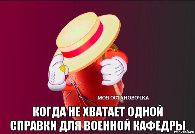  когда не хватает одной справки для военной кафедры, Мем   Моя остановочка