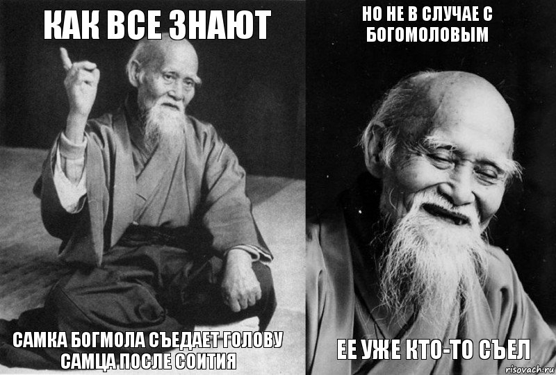 Как все знают Самка богмола съедает голову самца после соития Но не в случае с богомоловым ее уже кто-то съел, Комикс Мудрец-монах (4 зоны)