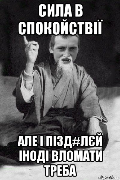 сила в спокойствії але і пізд#лєй іноді вломати треба, Мем Мудрий паца