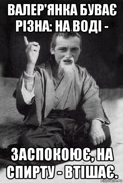 валер'янка буває різна: на воді - заспокоює, на спирту - втішає., Мем Мудрий паца