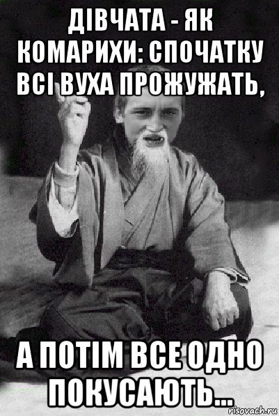 дівчата - як комарихи: спочатку всі вуха прожужать, а потім все одно покусають..., Мем Мудрий паца