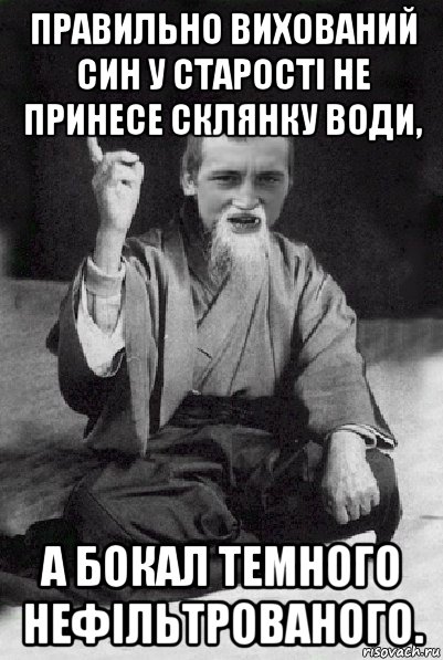 правильно вихований син у старості не принесе склянку води, а бокал темного нефільтрованого., Мем Мудрий паца