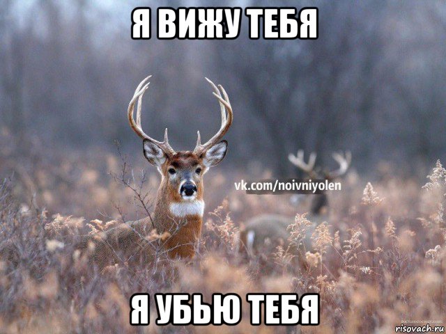 я вижу тебя я убью тебя, Мем Наивный Олень vk