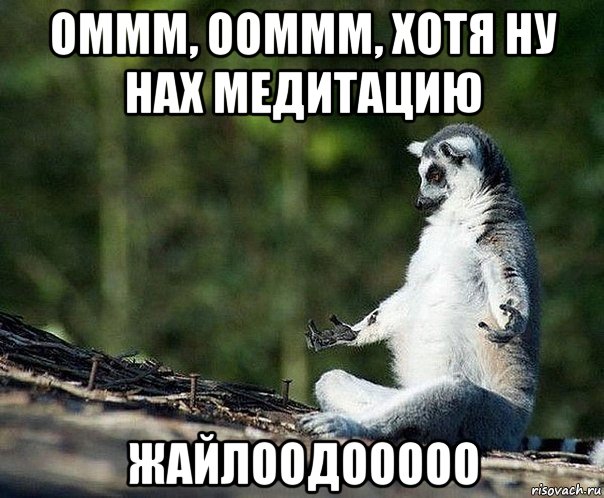 оммм, ооммм, хотя ну нах медитацию жайлоодооооо