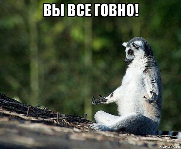 вы все говно! 