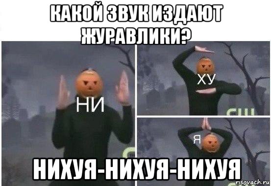 какой звук издают журавлики? нихуя-нихуя-нихуя, Мем  Ни ху Я