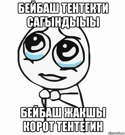 бейбаш тентекти сагындыыы бейбаш жакшы корот тентегин, Мем  ну пожалуйста (please)