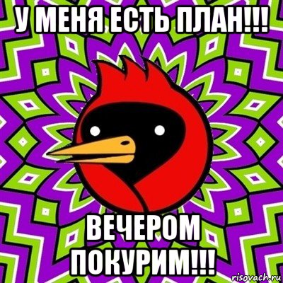 у меня есть план!!! вечером покурим!!!, Мем Омская птица