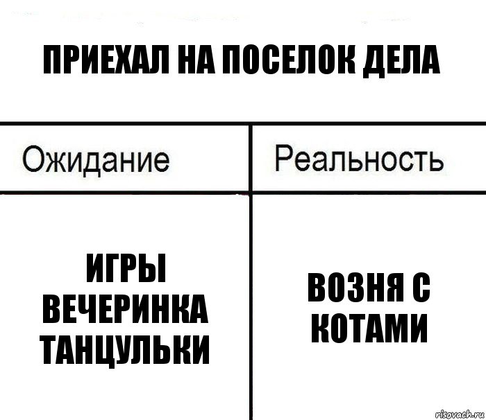 приехал на поселок дела игры вечеринка танцульки возня с котами, Комикс  Ожидание - реальность