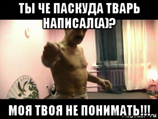 ты че паскуда тварь написал(а)? моя твоя не понимать!!!, Мем Паскуда тварь