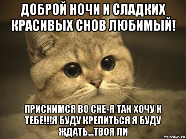 доброй ночи и сладких красивых снов любимый! приснимся во сне-я так хочу к тебе!!!я буду крепиться я буду ждать...твоя ли, Мем Пидрила ебаная котик