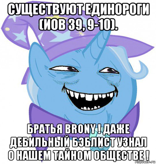 существуют единороги (иов 39, 9-10). братья brony ! даже дебильный бэблист узнал о нашем тайном обществе !, Мем Пони 3