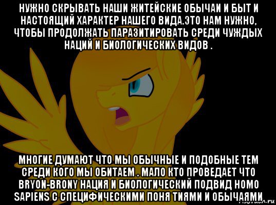 нужно скрывать наши житейские обычаи и быт и настоящий характер нашего вида.это нам нужно, чтобы продолжать паразитировать среди чуждых наций и биологических видов . многие думают что мы обычные и подобные тем среди кого мы обитаем . мало кто проведает что bryon-brony нация и биологический подвид homo sapiens c специфическими поня тиями и обычаями, Мем  Пони1