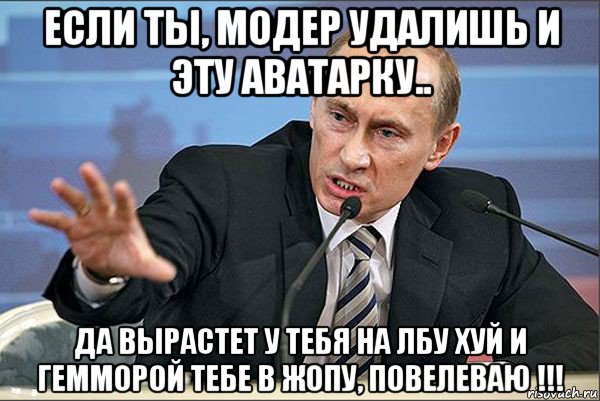 если ты, модер удалишь и эту аватарку.. да вырастет у тебя на лбу хуй и гемморой тебе в жопу, повелеваю !!!, Мем Путин