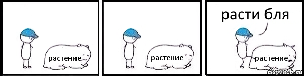 растение растение растение расти бля, Комикс   Работай