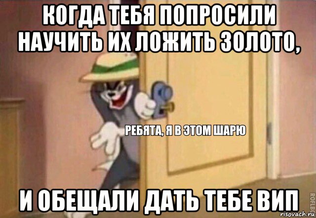 когда тебя попросили научить их ложить золото, и обещали дать тебе вип, Мем    Ребята я в этом шарю