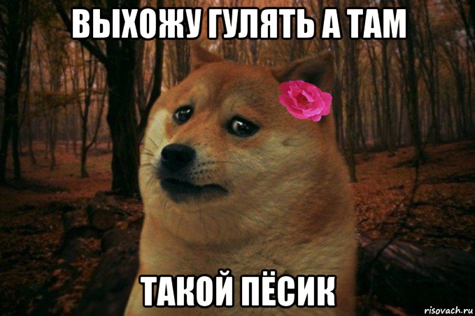 выхожу гулять а там такой пёсик, Мем  SAD DOGE GIRL