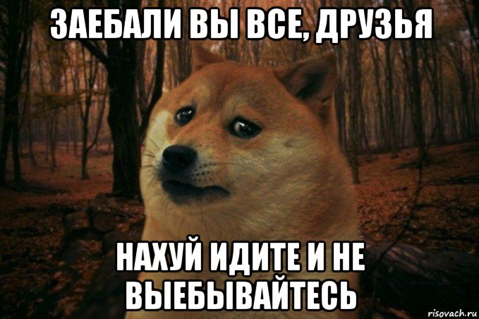 заебали вы все, друзья нахуй идите и не выебывайтесь, Мем SAD DOGE