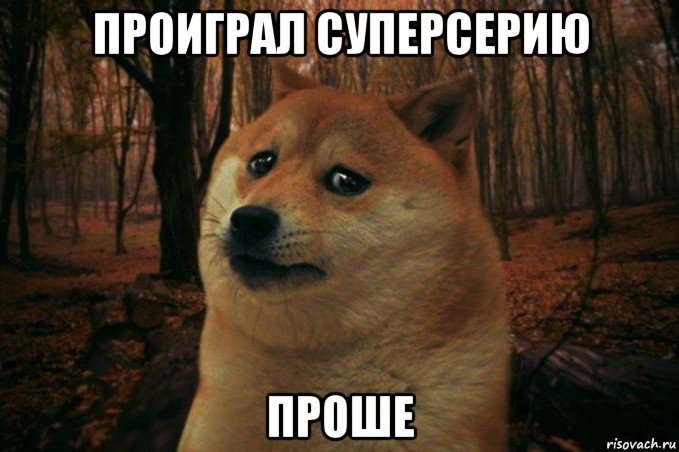 проиграл суперсерию проше, Мем SAD DOGE