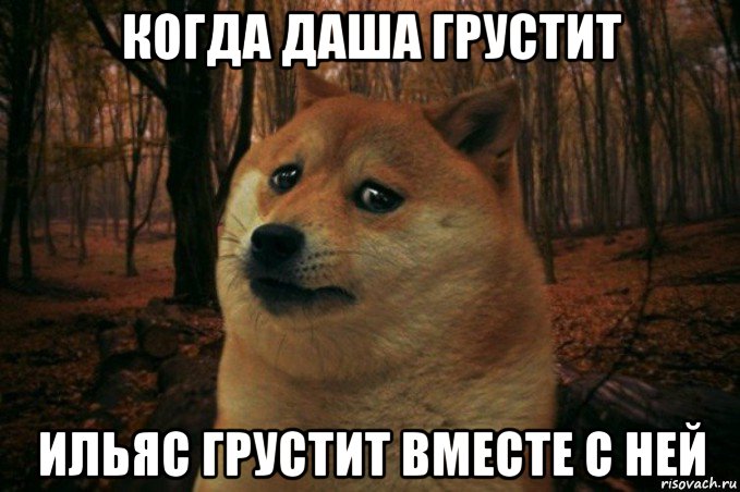 когда даша грустит ильяс грустит вместе с ней, Мем SAD DOGE