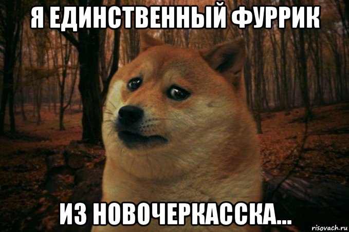 я единственный фуррик из новочеркасска..., Мем SAD DOGE