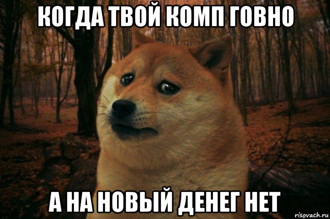 когда твой комп говно а на новый денег нет, Мем SAD DOGE