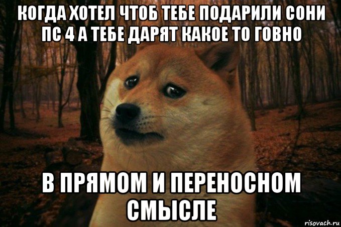 когда хотел чтоб тебе подарили сони пс 4 а тебе дарят какое то говно в прямом и переносном смысле