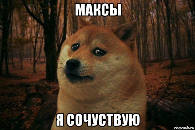 максы я сочуствую, Мем SAD DOGE