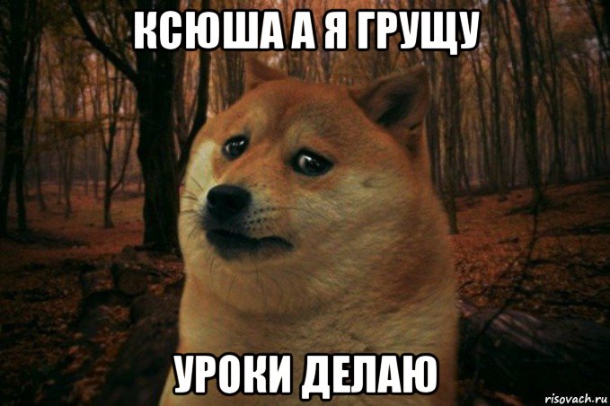 ксюша а я грущу уроки делаю, Мем SAD DOGE