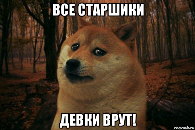 все старшики девки врут!, Мем SAD DOGE