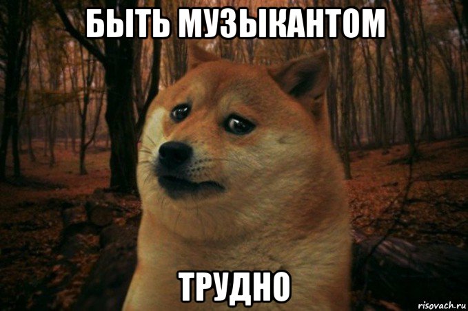 быть музыкантом трудно, Мем SAD DOGE