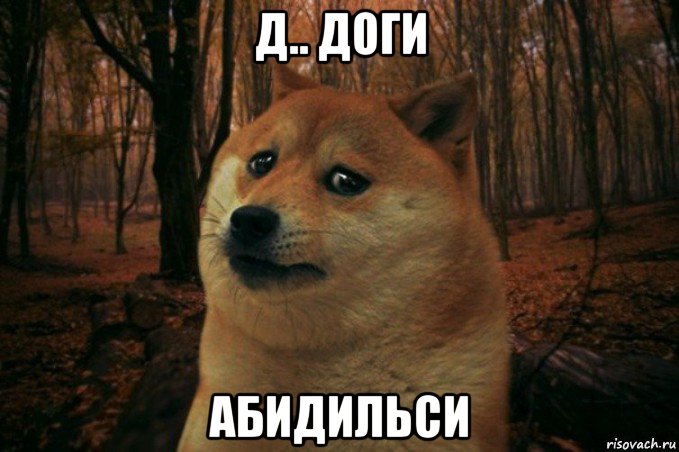 д.. доги абидильси, Мем SAD DOGE