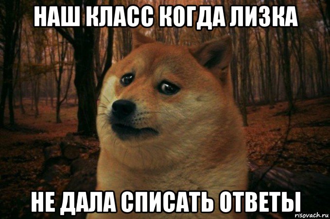 наш класс когда лизка не дала списать ответы, Мем SAD DOGE