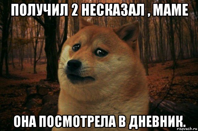 получил 2 несказал , маме она посмотрела в дневник., Мем SAD DOGE