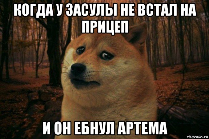 когда у засулы не встал на прицеп и он ебнул артема, Мем SAD DOGE