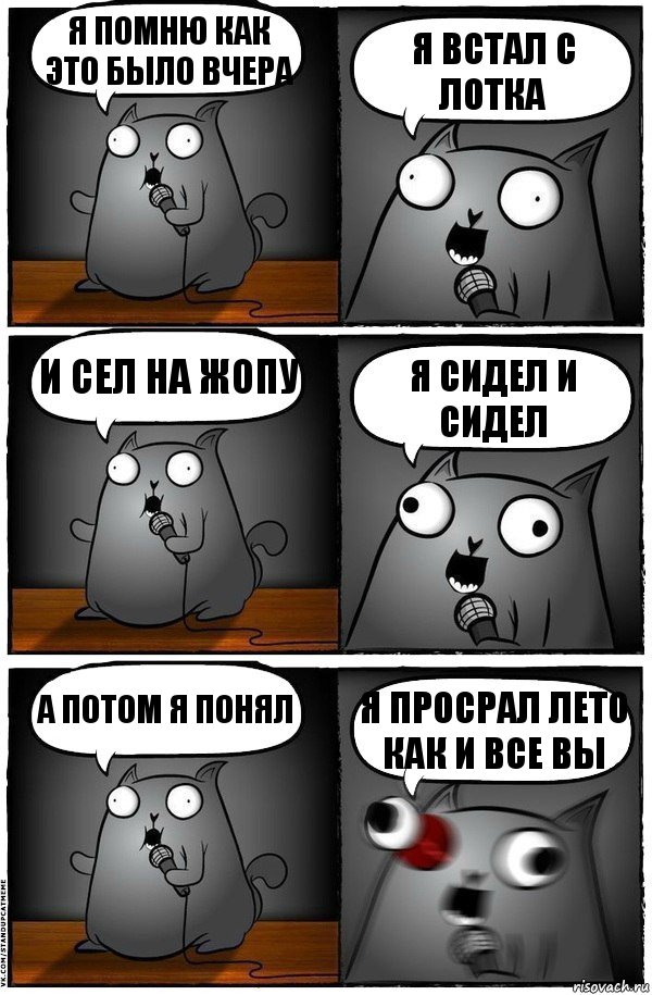 Я помню как это было вчера Я встал с лотка И сел на жопу Я сидел и сидел А потом я понял Я просрал лето как и все вы, Комикс  Стендап-кот