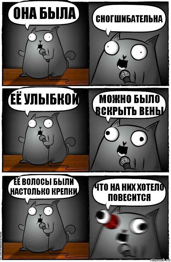 Она была СНОГШИБАТЕЛЬНА Её улыбкой МОЖНО БЫЛО ВСКРЫТЬ ВЕНЫ Её волосы были настолько крепки ЧТО НА НИХ ХОТЕЛО ПОВЕСИТСЯ, Комикс  Стендап-кот