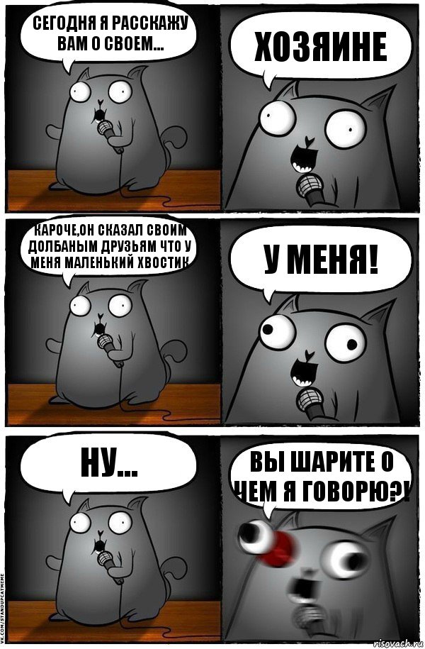 Сегодня я расскажу вам о своем... хозяине Кароче,он сказал своим долбаным друзьям что у меня маленький хвостик У МЕНЯ! Ну... ВЫ ШАРИТЕ О ЧЕМ Я ГОВОРЮ?!, Комикс  Стендап-кот