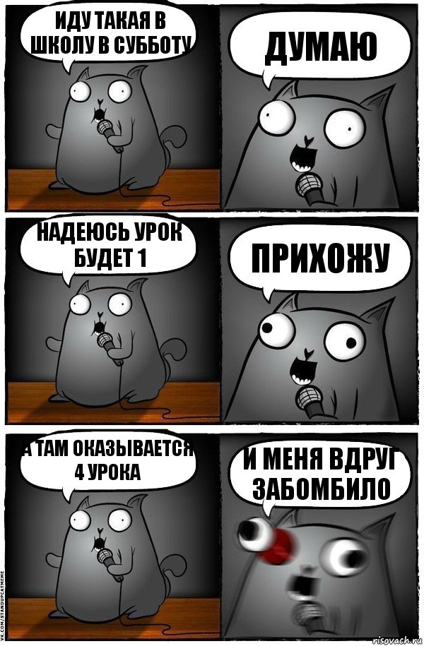 Иду такая в школу в субботу думаю Надеюсь урок будет 1 Прихожу А там оказывается 4 урока и меня вдруг забомбило