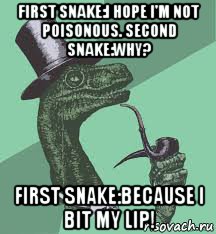 first snake:i hope i'm not poisonous. second snake:why? first snake:because i bit my lip!