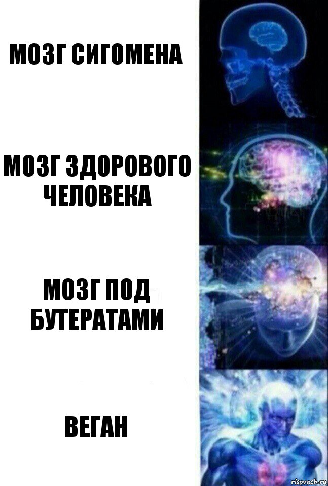 Мозг Сигомена Мозг здорового человека Мозг под бутератами Веган, Комикс  Сверхразум