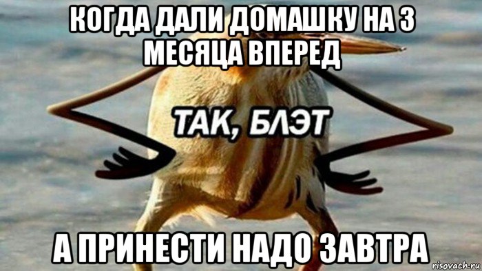 когда дали домашку на 3 месяца вперед а принести надо завтра, Мем  Так блэт